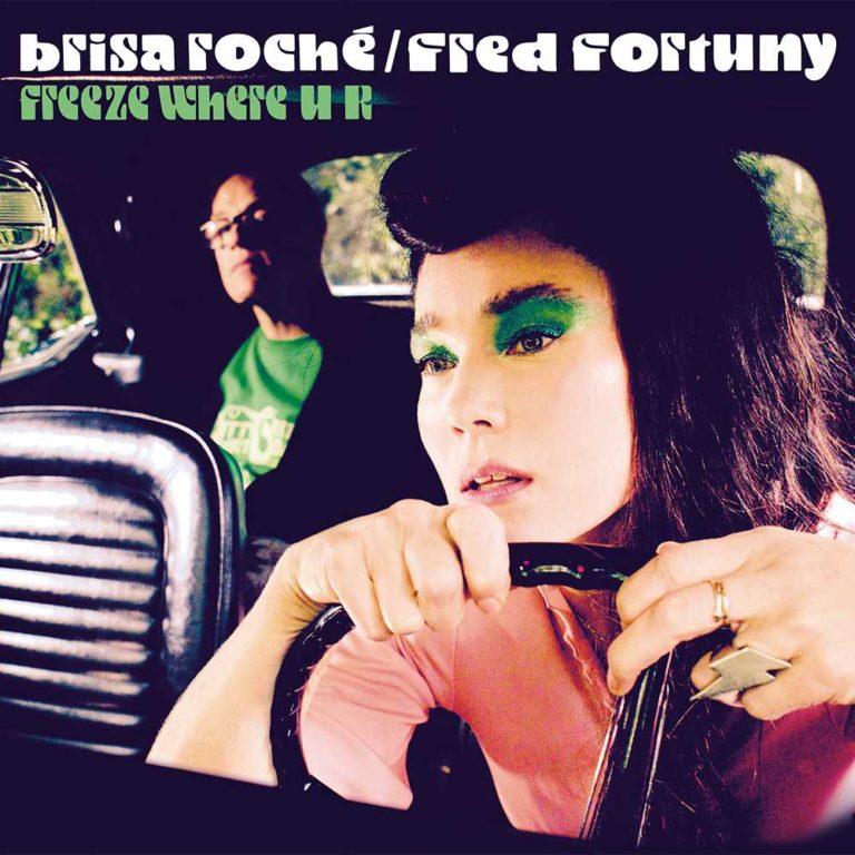 1-BR-FF_FREEZE_COVER_100